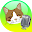 translator talking cat Download on Windows