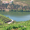 Douro and Port wine