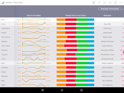 Roambi Analytics - screenshot thumbnail