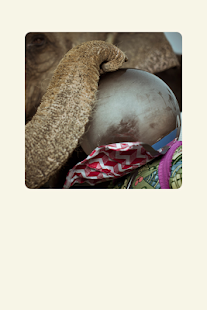 Download The Afronauts, photobook APK