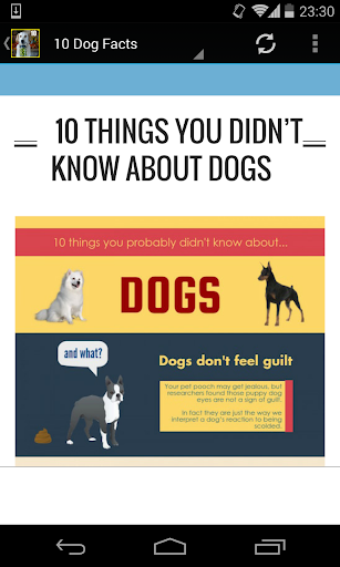 10 Incredible Dog Facts