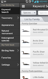 Birds of Korea Pro poster 2