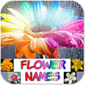 Learning Flower Names