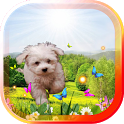 Spring Puppy live wallpaper - Free APK Download for Android