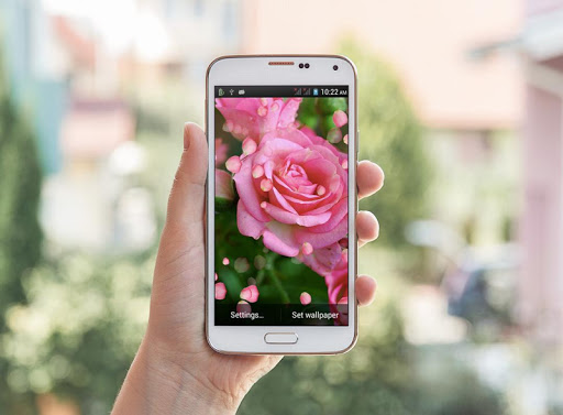 【免費個人化App】Pink Rose HD LiveWallpaper-APP點子