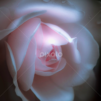 FpBOMsi_WN0kqZ4YWMp54ZwPddb8ct