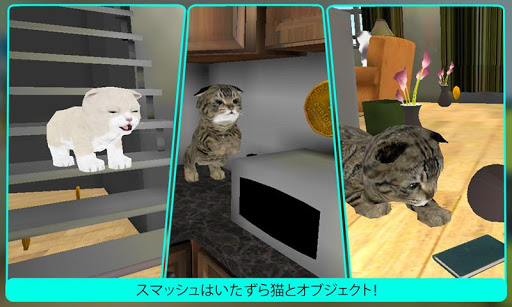 本物のペットの猫3Dシミュレータ