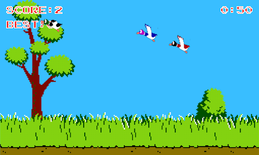 download Duck Hunter free