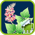 DVR:Seven Herbs of Autumn logo