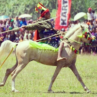 PASOLA - Kodi- Sumba Barat Daya - NTT by Piet Leba -  