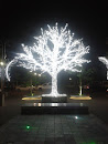 Tree Of Light