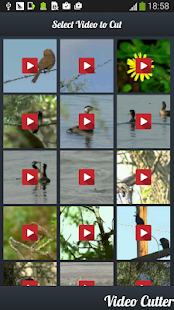 download Video Cutter: Video Pemangkas free