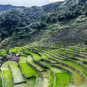 by Don Saddler - Landscapes Travel