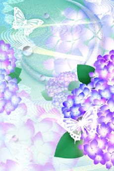ライブ壁紙 花鳥風月 紫陽花 Androidアプリ Applion