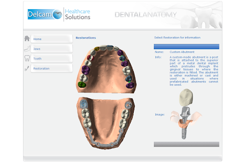 Dental Anatomyのおすすめ画像1