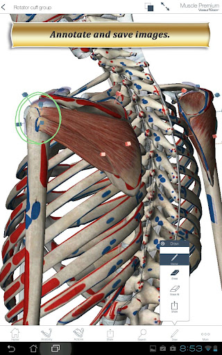 免費下載醫療APP|Muscle Premium app開箱文|APP開箱王