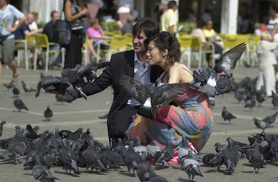 Wedding couple overwhelmed by fowl in St. Mark's Square.