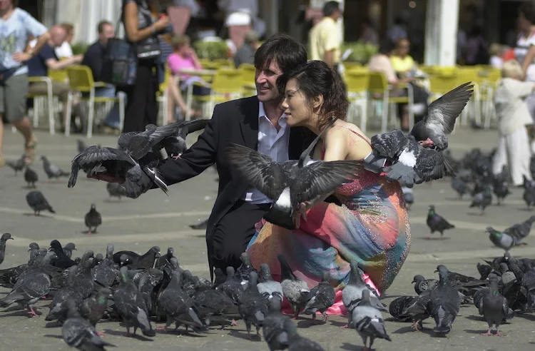 Wedding couple overwhelmed by fowl in St. Mark's Square.