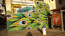 Peacock Mural At Star Market