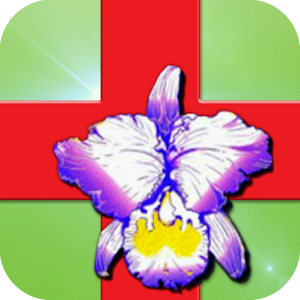 振興醫院電子處方集.apk 2.6