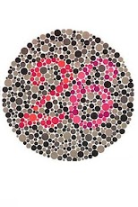 ���� ����������