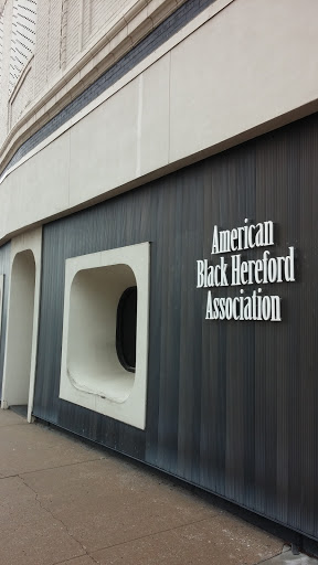 American Black Hereford Association