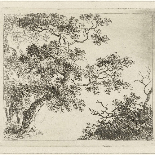 Boslandschap, Johannes Janson, 1761 - 1784 - Rijksmuseum