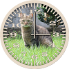 Cat 5 Tabby Grass Analog Clock
