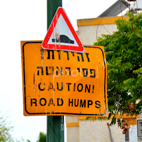 Bring Protection  by Rita Uriel - Uncategorized All Uncategorized