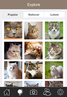 Free Just Cats APK for Android