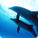 Nice Seas Live HD Wallpapers logo