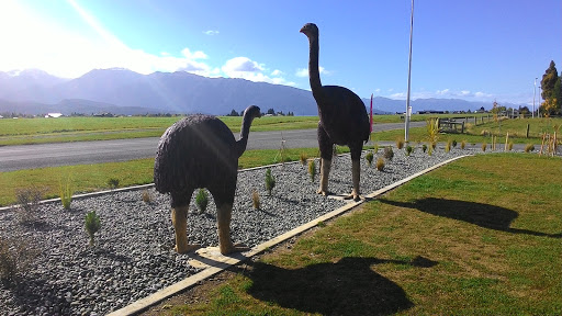 The New Zealand Moa Bird Statues