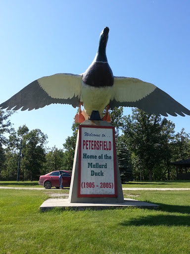 Mallard Duck Statue