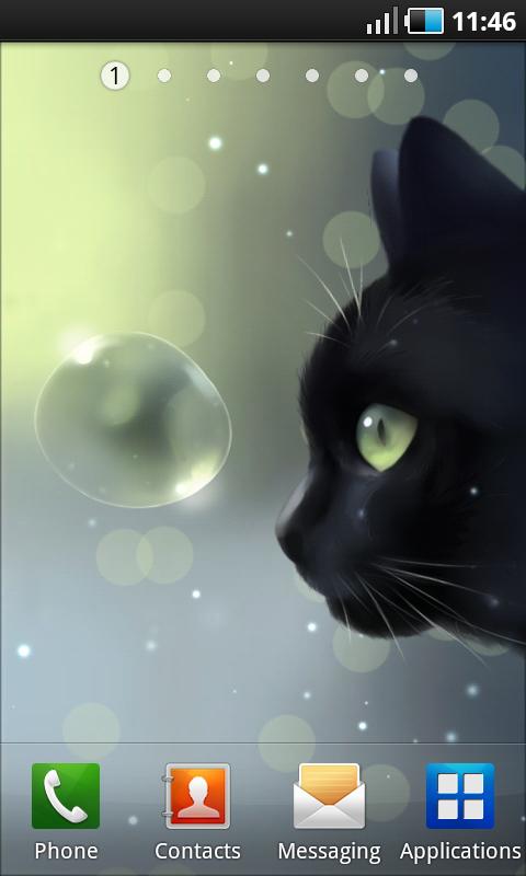 Android application Curious Cat screenshort