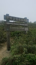 Millennium Corporate Afforestation Scheme Memorial Sign