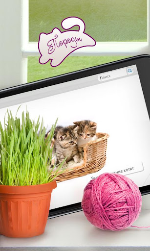 【免費書籍App】Мои питомцы. Кошки Lite-APP點子