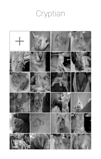 Free Cryptian APK for PC