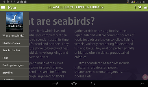 Sea World-Seabirds
