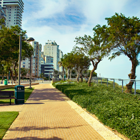 peoples park by Mhel Pernia - City,  Street & Park City Parks
