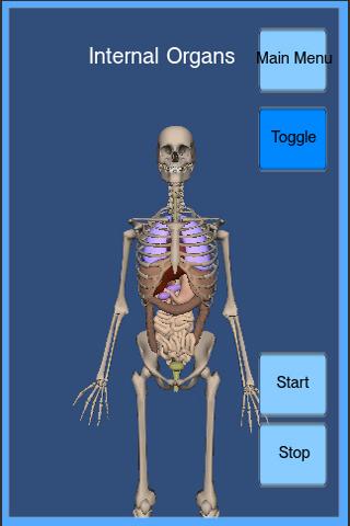 3D Respiration Screen 3