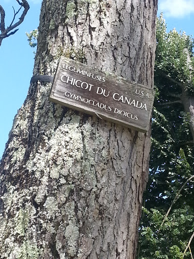 Vichy - Chicot Du Canada