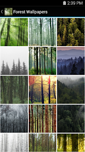 How to mod Forest Wallpapers 1.0 mod apk for bluestacks