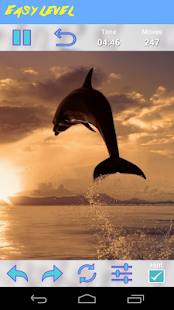 How to download Dolphins Jigsaw Puzzle 1.0 unlimited apk for laptop