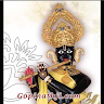 Gopinathji Dev Mandir Application icon