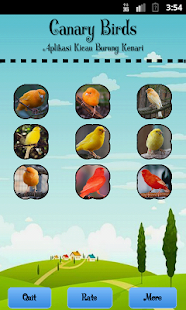 How to install Canary Birds 1.1 mod apk for pc
