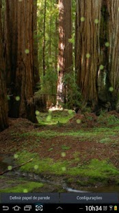 Forest Green Live Wallpaper Screenshots 6