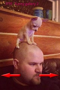 How to mod Funny LOL Pictures 1.1 mod apk for laptop