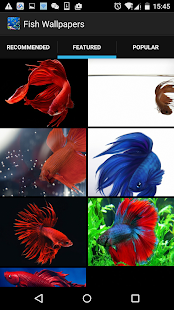 How to install Fish Wallpapers Backgrounds HD lastet apk for bluestacks