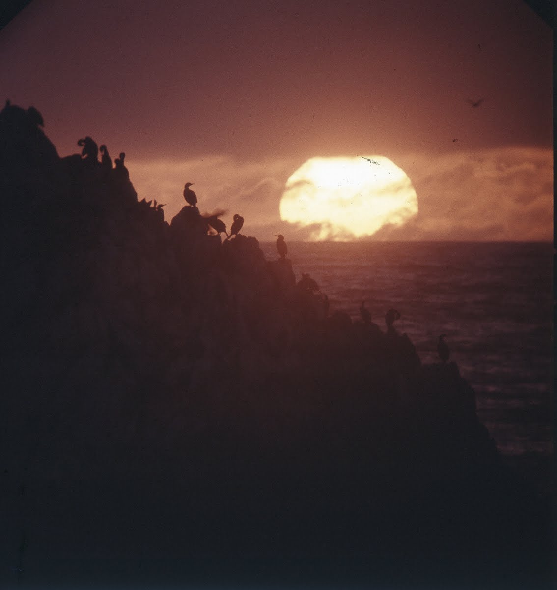 Pre columbian california image