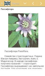 How to download Все о комнатных растениях lastet apk for android